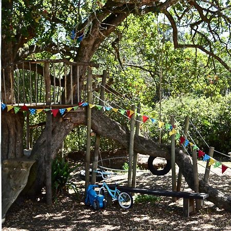Shepherd'S Tree Backpackers Knysna Esterno foto