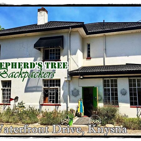 Shepherd'S Tree Backpackers Knysna Esterno foto