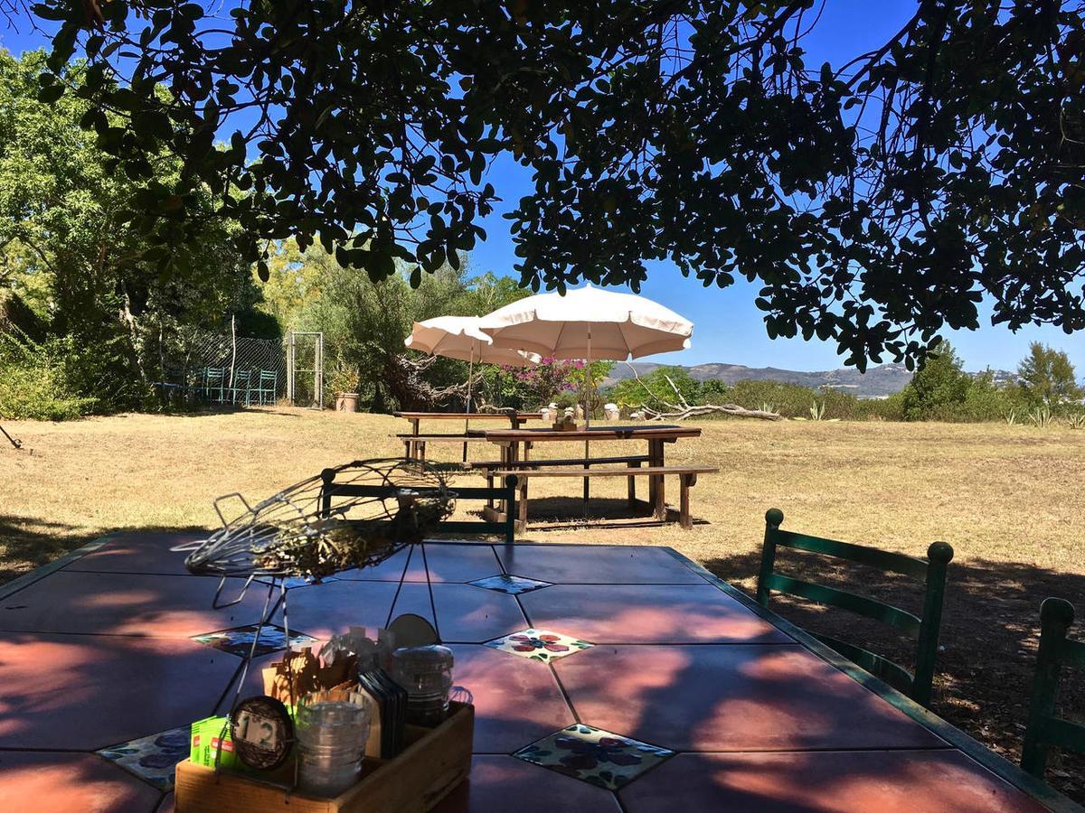 Shepherd'S Tree Backpackers Knysna Esterno foto