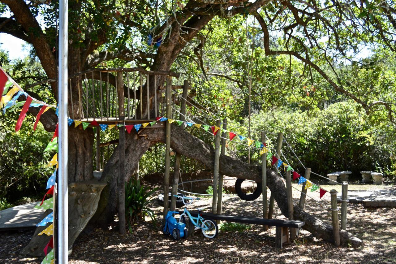 Shepherd'S Tree Backpackers Knysna Esterno foto