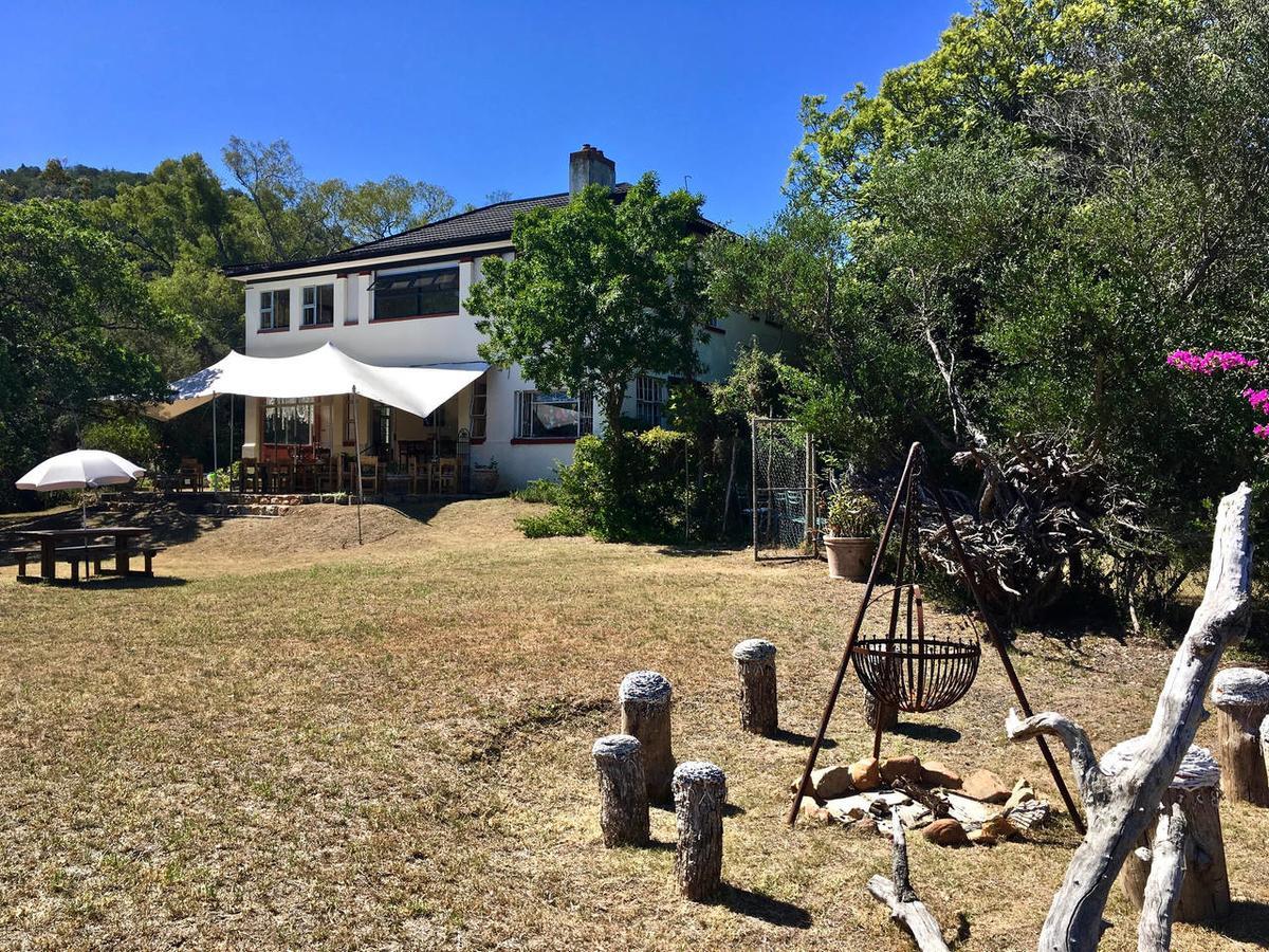 Shepherd'S Tree Backpackers Knysna Esterno foto