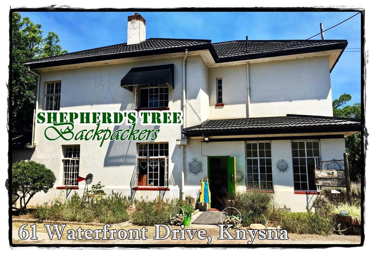 Shepherd'S Tree Backpackers Knysna Esterno foto