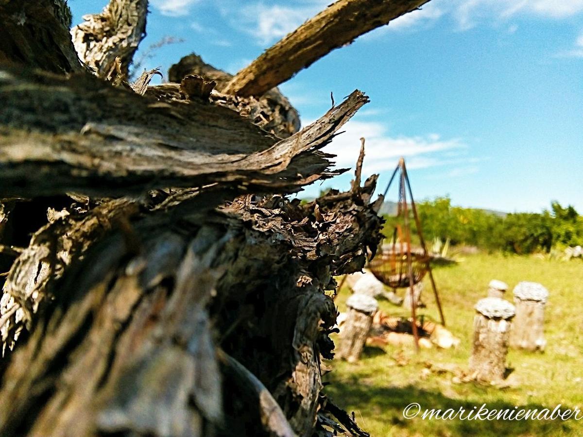 Shepherd'S Tree Backpackers Knysna Esterno foto