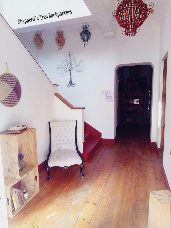 Shepherd'S Tree Backpackers Knysna Esterno foto
