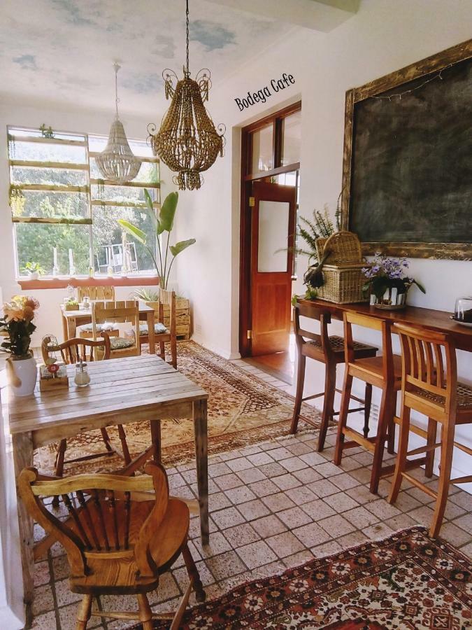 Shepherd'S Tree Backpackers Knysna Esterno foto